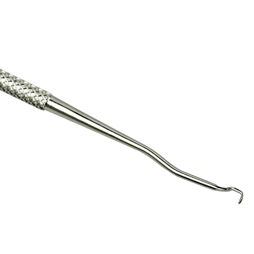 1 Piece Beekeeping Grafting Tool Double Head Beekeeping Grafting Needle Beekeeping Moving Needle Tool Stainless Steel Queen Moving Needle Queen Bee Grafting Tool, Silver