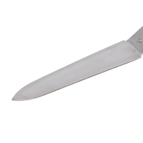 Yosoo Beehive Honey Scraper Honey Harvesting Tool Uncapping Knife Stainless Steel and Beech Wood Angled for Precise Effortless Extraction with Ultra Thin Profile for
