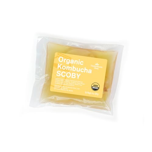 100% Organic SCOBY Kombucha Starter Kit - 100% Guaranteed to Brew - Fresh, Live Culture with Starter Liquid - The Kombucha Shop - size: 14 Ounce (Pack of 1)