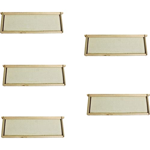 Harvest Lane Honey WWFFM-102-5 Assembled Medium Frames & Foundation, 5 Pack