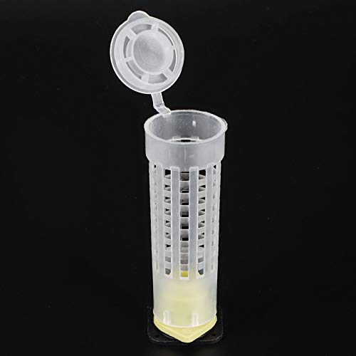 Plastic Queen Bee Rearing Box, Lightweight Portable Bee Grafting Kit Breeding Cell Cup Kit for Beekeeping Equipments Supplies