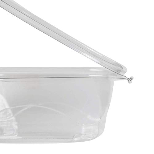 Karat PET Hinged Deli Containers with Lids - Perfect for Pasta Salads, Fruit, Deli Sides, and Home Meal Prep - Clear Plastic Food Containers, Take Out Containers (12oz)