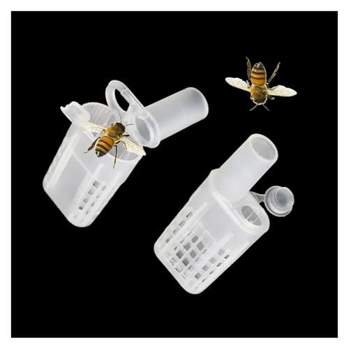 Queen Bee Cage 80 Pcs Beekeeping Cages Plastic White Move Bee Queen Tools Apiculture Equipment Protection Cage for Beekeeping Supplies
