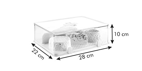 Tescoma Healthy Container for The Refrigerator Purity, for Cheese, Assorted, 28.2 x 22.6 x 9.7 cm