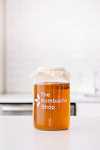 The Kombucha Shop, Deluxe Kombucha Brewing Kit with Tea to Make an Additional 10 Gallons - Six Swing Top Bottles, Stainless Steel Funnel, Custom Bottle Brush, 10 Gallon Tea & Our Original Brewing Kit