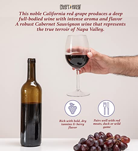 Craft A Brew - Cabernet Sauvignon Wine Recipe Kit - 1 Gallon - Ingredients for Home Brewing Wine - Wine Making Ingredients and Supplies - style: Cabernet Sauvignon