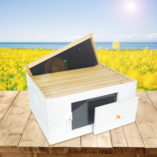 BeeTech 10 Frame Langstroth Beehive Deep Brood Box Painted Not Includes Wooden Frames & Waxed Foundations (Unassembled)