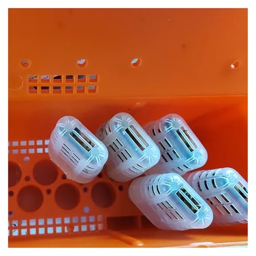 Queen Bee Cage 1 Set Beekeeping King Cage Queen Bee Transport Box with Transparent Cages Incubator Tools for Beekeeping Supplies