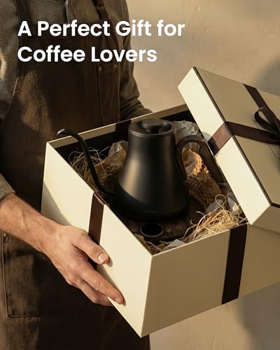 INTASTING Gooseneck Electric Kettle, ±1℉ Temperature Control, Stainless Steel Inner, Quick Heating, for Pour Over Coffee, Brew Tea, Boil Hot Water, 1500W/0.9L (Glossy Black) - color: Glossy Black