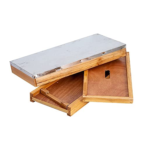 BeeCastle 5 Frame Bee Hive Nuc Box Coated with 100% Beeswax Includes Beehive Frames and Waxed Foundations