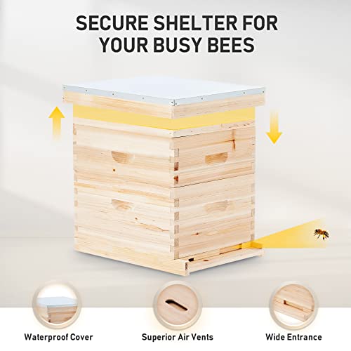 CREWORKS Bee Hive Boxes 10 Frame Langstroth Beehive, Bee Keeping Starter Kit Includes 1 Super Bee Box & 1 Bee Brood Box with Beehive Frames and Foundation, 2 Layers Complete Bee Hive Kit - style: 2 Layer
