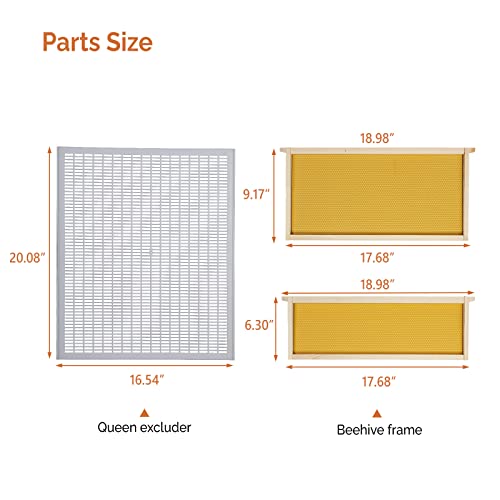 VINGLI 10-Frame Bee Hive, Wax Coated Beehive Starter Kit with Frames & Beeswax Coated Foundation Sheets (3 Layer) - style: 3 Layer