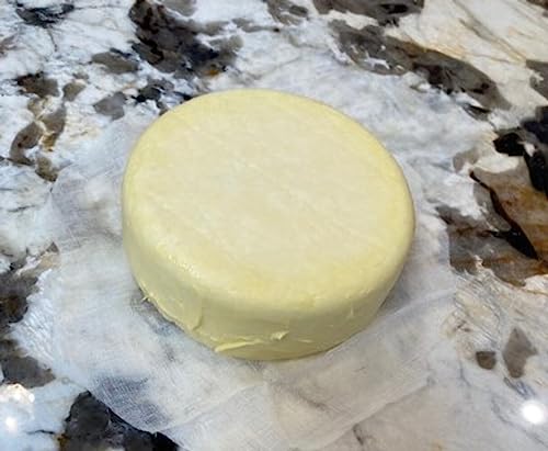 Cheese Mould Small Classic Wheel with Lid Follower