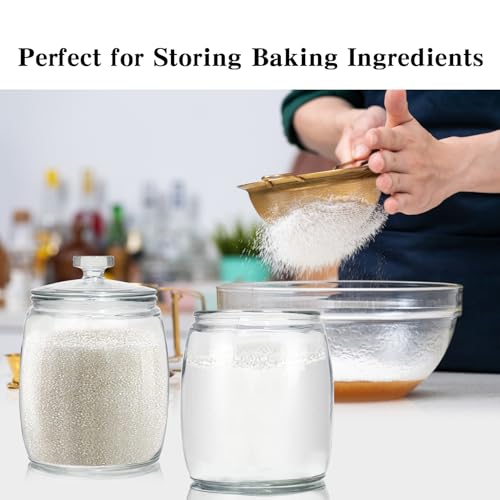 CATPOWER 2.5 Gallon Wide Mouth Glass Storage Jars with Heavy Glass Lids - Large Cookie Jars for Kitchen, Ideal for Flour, Rice, Sugar, Pasta, and Candy | Large Cookie Jars for Kitchen, Ideal for Flour, Rice, Sugar, Pasta, and Candy