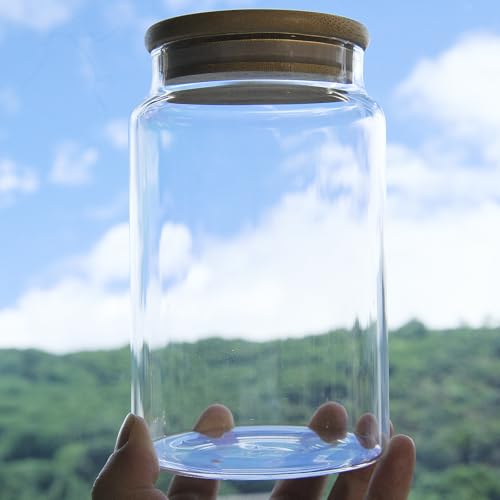 Custde Glass Jar with Lid, 28.7 FL oz Airtight Glass Storage Jar Glass Food Storage Containers for Kitchen Counter, Pantry, Decorative for Coffee, Sugar, Candy Jar Cute (Bamboo 28.7 FL OZ)