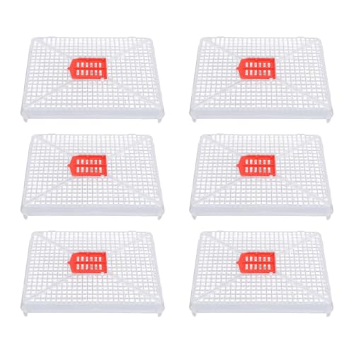 6pcs Plastic Queen Cage Beekeeping Tool Beekeeping Box with Square Buckle Design for Artificial Swarming, Introduction of Queens