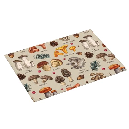 Mushroom Dish Drying Mats For Kitchen Counter XL Microfiber Kitchen Drying Mat Large Draining Pad Absorbent Quick Drying Dish Mat for Countertop Coffee Mats 18x24 Inch - color: Mushrooms