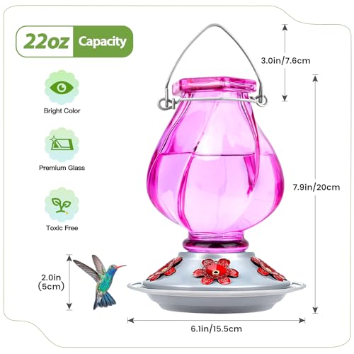 Hummingbird Feeder, BOLITE Glass Hummingbird Feeders for Outdoors Hanging, with Ant Moat and Five Feeding Ports, 22 Ounces, Leak Proof, Purple Bottle - color: Ruby Purple