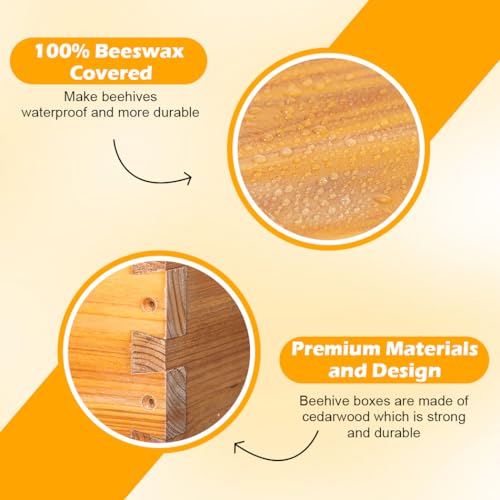 POLLIBEE 8 Frame Medium Super Bee Box, Assemble Bee Hive Box, Dipped in 100% Beeswax, Include Beehive Frames and Bee Hive Foundation