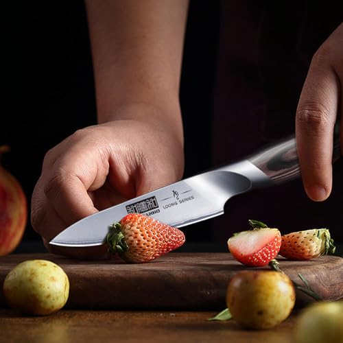 HOSHANHO 3.75 inch Paring Knife, Japanese High Carbon Stainless Steel Small Kitchen Knives, Ultra Sharp Fruit Knife with Ergonomic Pakkawood Handle - size: 3.7"