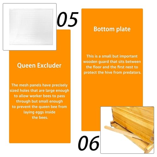 5 Layer Langstroth Beehive Dipped in 100% Beeswax Coated Bee Hive Includes 2 Deep Hive Bee Box & 3 Super Bee Hive Without Frames