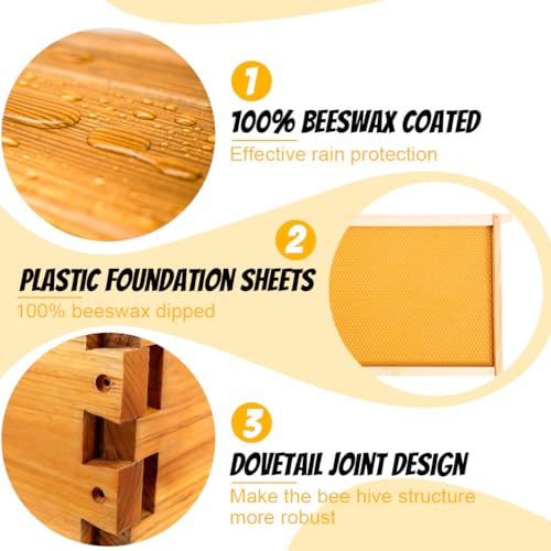 Honey Lake 8 Frame Beehive Medium Super Box with Window, Langstroth Bee Hive Box Kit Dipped in Beeswax Include Wooden Frames & Waxed Foundations, Bee Boxes for Beekeeping Supplement (Unassembled) - size: 8-Frame