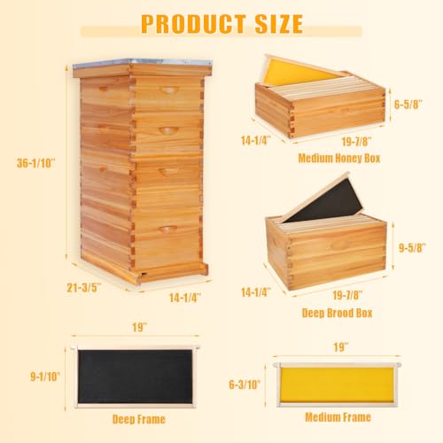 POLLIBEE 8 Frame Bee Hive Beeswax Coated Complete Bee Hives Includes Bee Frames and Waxed Foundations (2 Deep Boxes & 2 Medium Boxes) - size: 8 Frame-4L