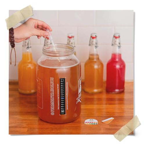 Kombucha Essentials Kit - Includes USDA Organic Kombucha SCOBY + 1-Gallon Glass Fermenting Jar with Breathable Cover + pH Strips + Rubber Band + Adhesive Thermometer - Brew kombucha at Home