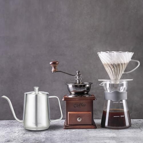 Easyworkz Gooseneck Pour Over Coffee Kettle 30 fl oz with Thermometer Stainless Steel Hand Drip Coffee Pot With Long Narrow Spout,Suitable for Induction Cookers - color: Silver