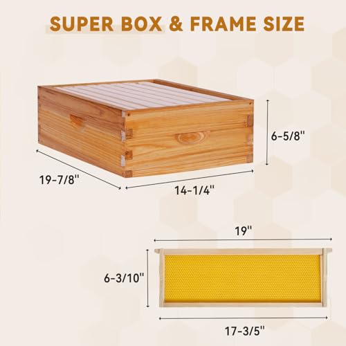 POLLIBEE 8 Frame Super Beehive Box, Langstroth Honey Bee Box Dipped in 100% Beeswax Include Bee Hive Frames and Wax Foundations (unassembled) - size: 8 Frame