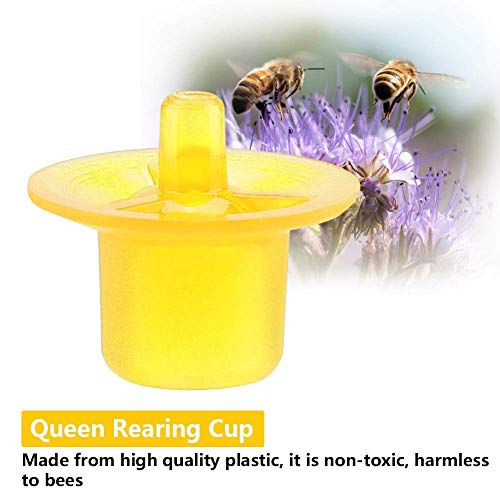 TOPINCN Beekeeping Queen Rearing Cell Cups Plastic Harmless Bee Keeper Equipment Tool Apiculture Supply Hive Frame Accessories 50pcs (Yellow)