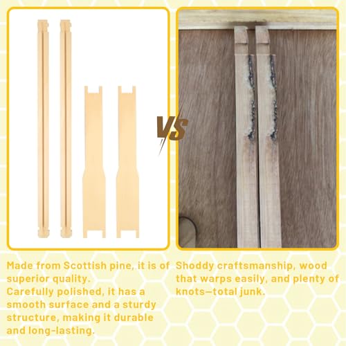 Beehive/Langstroth 10 Frame bee Box/bee Hives Boxes Starter kit with 100% Beeswax Includes Beehive Frames and Beeswax Coated Foundation Boards(1 Deep Boxes & 1 Medium Boxes)