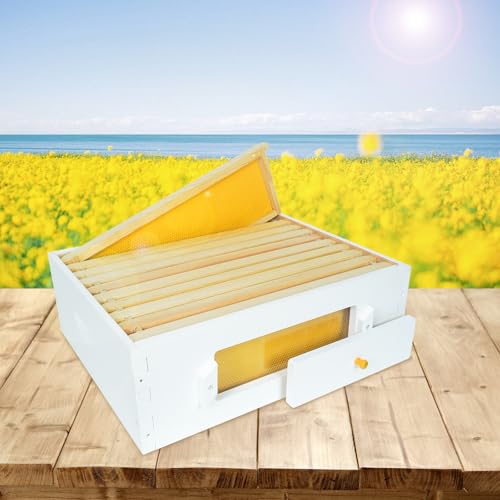 BeeTech 10 Frame Langstroth Beehive Medium Super Box Painted Not Includes Wooden Frames & Waxed Foundations (Unassembled)