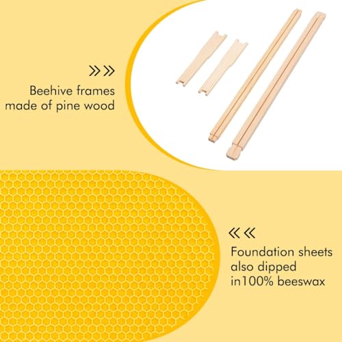 Frame Assembled Medium Bee Hive Super Box - Beeswax Coated Beehive Kit for Beekeepers, Includes 10 Wooden Frames and Waxed Foundations, Standard Langstroth Size