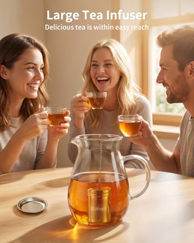 HOUSE AGAIN Large Tea Infuser with Scoop, Extra Fine Mesh Tea Strainers for Loose Tea & Spice Infuser for Cooking, 304 Stainless Steel, Loose Leaf Tea Steeper for Brew Tea Spices & Seasonings - size: Large × 1 with Spoon