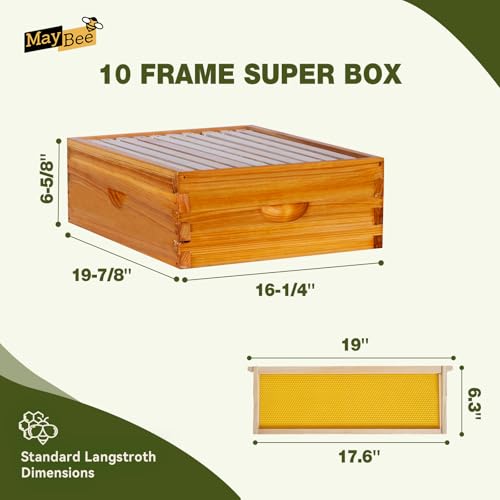 MayBee 10-Frame Langstroth Beehive Dipped in 100% Beeswax, Complete Bee Hives and Supplies Starter Kit Includes 2 Deep Hive Bee Box and 2 Bee Hive Super with Beehive Frames and Foundation