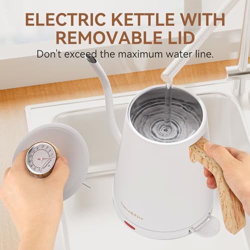 Nueve&Five Electric Gooseneck Kettle with Thermometer, 1.0L Pour Over Hot Water Kettle for Coffee and Tea, 1000W, Auto Shutoff, Boil-Dry Protection, White - color: WHITE