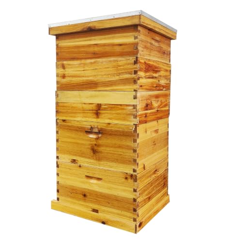 5-Layer Langstroth Beehive Kit, Beeswax Coated Wood Bee Hive with 2 Deep Breeding Boxes and 3 Medium Super Boxes, 10-Frame Standard Wooden Bee House with Waterproof Metal Top, No Frames