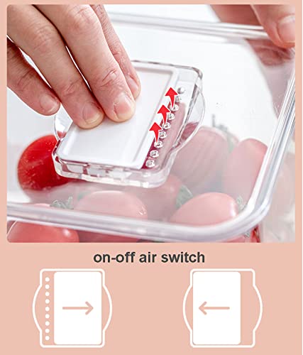 SANNO Fridge Produce Saver Stackable Refrigerator Organizer Keeper with Lids and Removable Drain Tray for Veggie, Berry, Fruits and Vegetables,Pack of 2 - size: 12.4” x 6.4”x 5.7"+9.2"x5.8"x4.8"