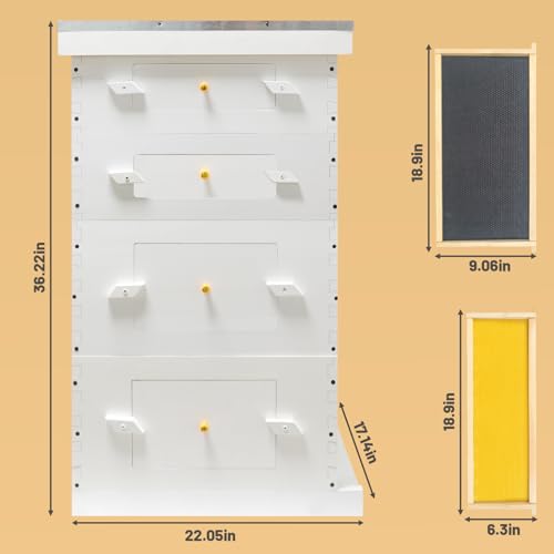 Painted Beehive with Windows Langstroth 10 Frame – 4-Layer Bee Hive Includes 20 Medium & 20 Deep Frames with Wax Foundations (2 Deep & 2 Medium Super Bee Box)