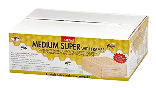 Little Giant 10-Frame Medium Super Beehive Body with Frames for Beekeeping (Item No. MEDBOX10)