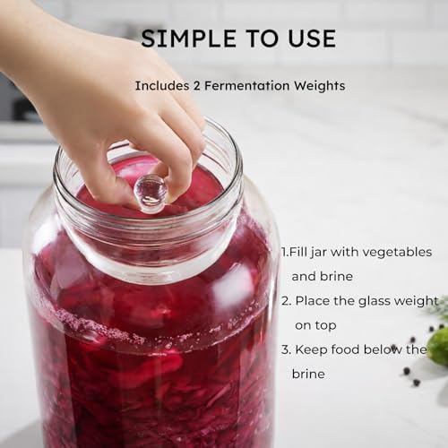 Jillmo Large Fermentation Weights for 1 Gallon Wide Mouth Jars, Heavy Glass Fermenting Weights with Easy Grip Handle, Keeps Vegetables Under Brine for Sauerkraut, Kimchi & Pickles, Pack of 2 - size: Plain - 2 Pack