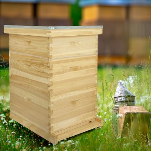 Bee Hive Boxes 10 Frame Langstroth Beehive,Complete Beehive Kit Includes 2 Deep Brood Bee Hives Box, 1 Medium Super Bee Box with Beehive Frames and Foundation - size: 3-Layre