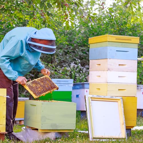 CroBlissful 2 Pcs 10 Frame Bee Hive Box Including Medium Super Beehive Box and Deep Brood Wooden Frames Bee Hives Starter Kit for Beginners Beekeepers (Unassembled)