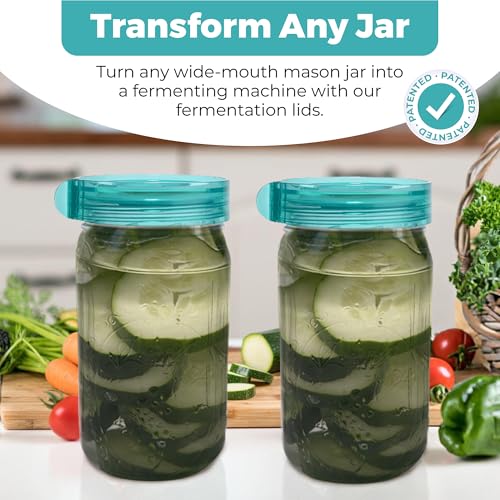 Fermentation Lids Refill Pack, Mason Jar Airlock Lid Kit, Fermenting Lids for Wide Mouth Mason Jars, Kimchi, Pickle, and Sauerkraut Fermentation, Pack of 4