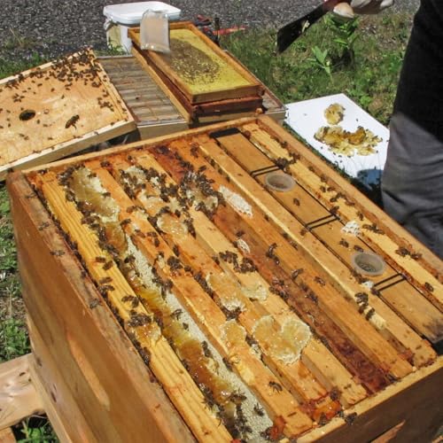 HARFINGTON Bee Hive Frame Feeder 4L Plastic Deep Frame Water Food Feeder Bee Pro Feeder for Beekeeping Feeding Equipment Bee Tools Beehive Supplies - size: 4L