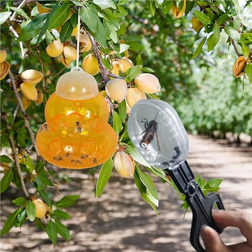 Queen Bee Cage 6pcs Bee Catching Clip Bee Queen Transfering Tool Beekeeping Apiculture Isolation Cage Room Reptile Feeding Clip