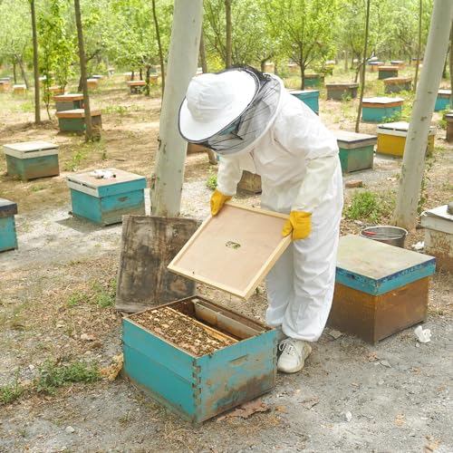 2 Pcs Beehive Inner Cover for 8 Frame Bee Hive Inner Cover Bee Hive Box Cover Beehive Insulation Ventilation Inner Covers for Beekeeping Tool - size: 2 Pack 8 Frame