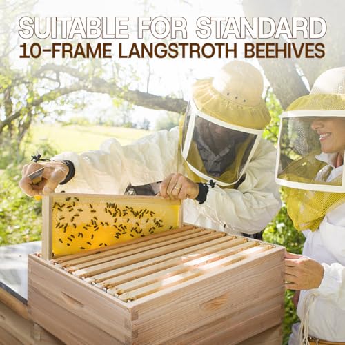 10 Frame Medium Super Beehive Box,Langstoth Super Honey Bee Hive Box, Include Beehive Frames and Waxed Foundations - size: 10 Frame