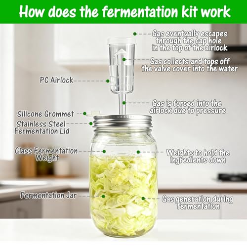 32 oz Mason Jar Fermentation Kit, 2 Pack Fermentation Jars, Fermentation Lids, Fermenting Weights and Airlocks, Complete Fermenting Kit for Making and Storing Sauerkraut(Pack of 2)
